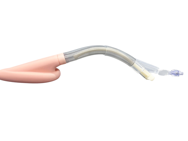 Double Lumen Reinforced Laryngeal Mask Airways