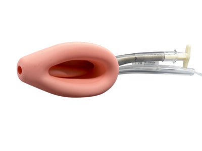 Double Lumen Reinforced Laryngeal Mask Airways