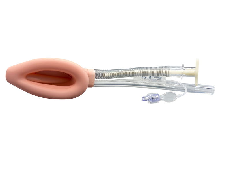 Double Lumen Reinforced Laryngeal Mask Airways