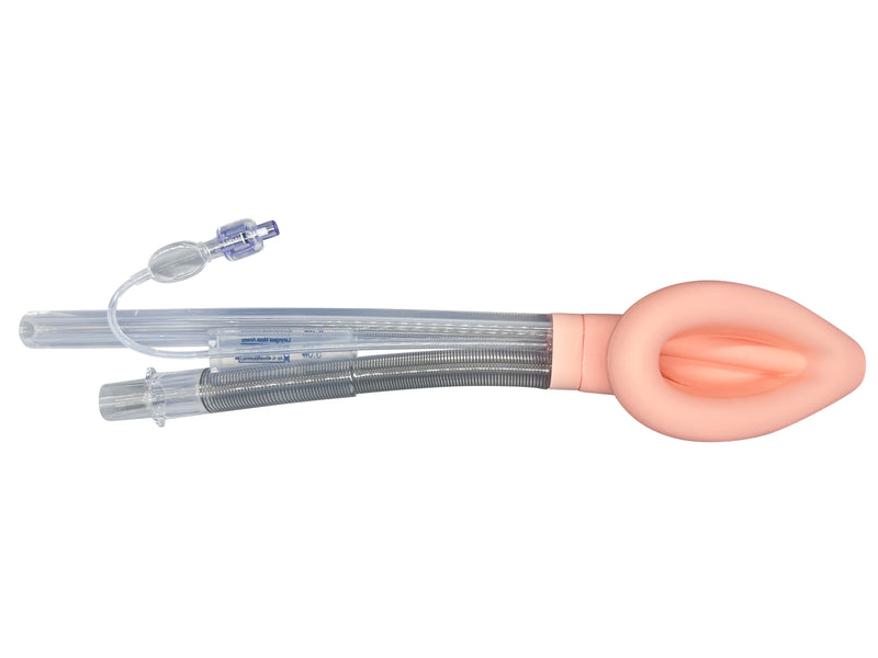 Double Lumen Reinforced Laryngeal Mask Airways