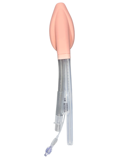 Double Lumen Reinforced Laryngeal Mask Airways